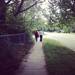 A couple walks hand in hand. (ale4xandria)